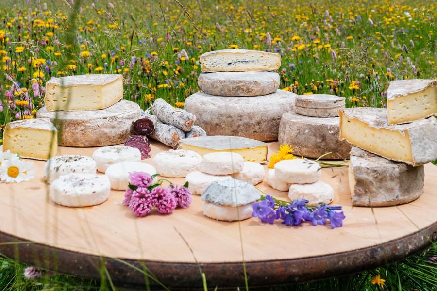 Notre plateau de fromage La Ferme Brunet - Gaec Du Lasseron_Cervières - © Thibaut Poinas