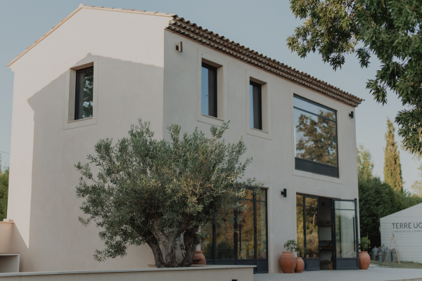 Visite d'un champ de Lavande Aix en Provence