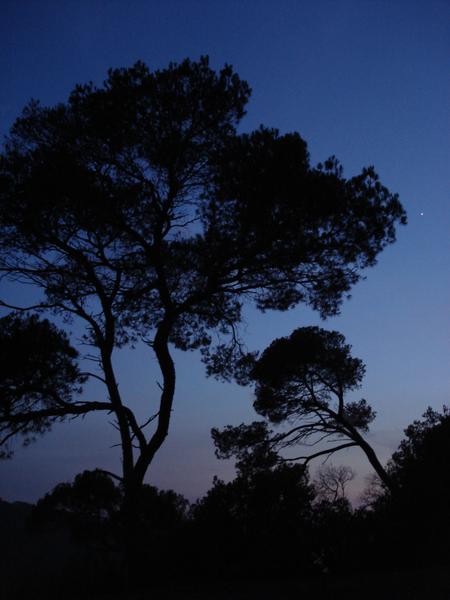 Point rencontre : Balade nocturne (Porquerolles)_Hyères