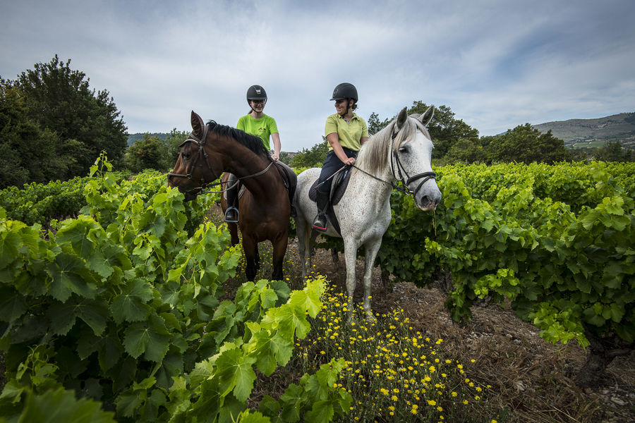 Alba site antique château cheval équitation vignes