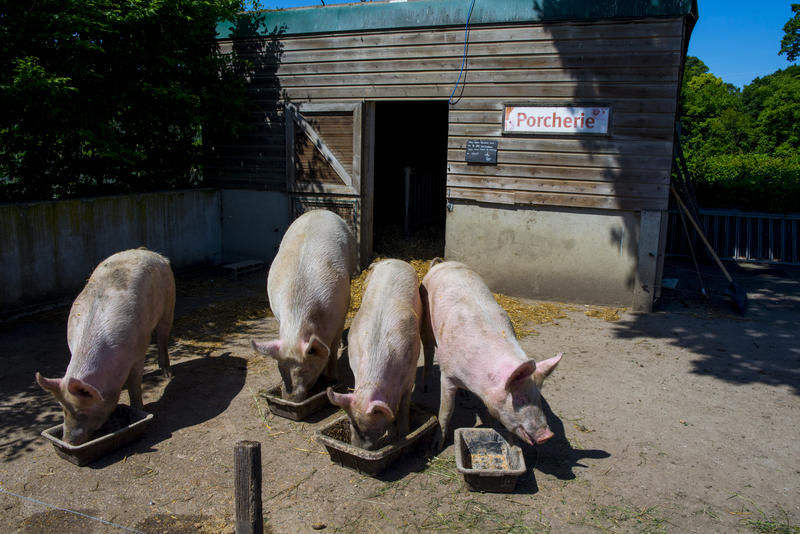 La ferme de Paris 