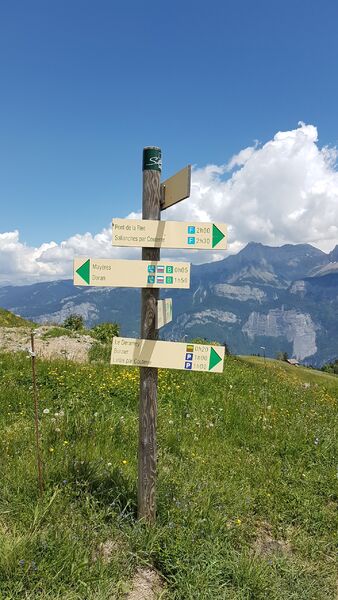 sentier pédestre : sentier forestier de Mayères