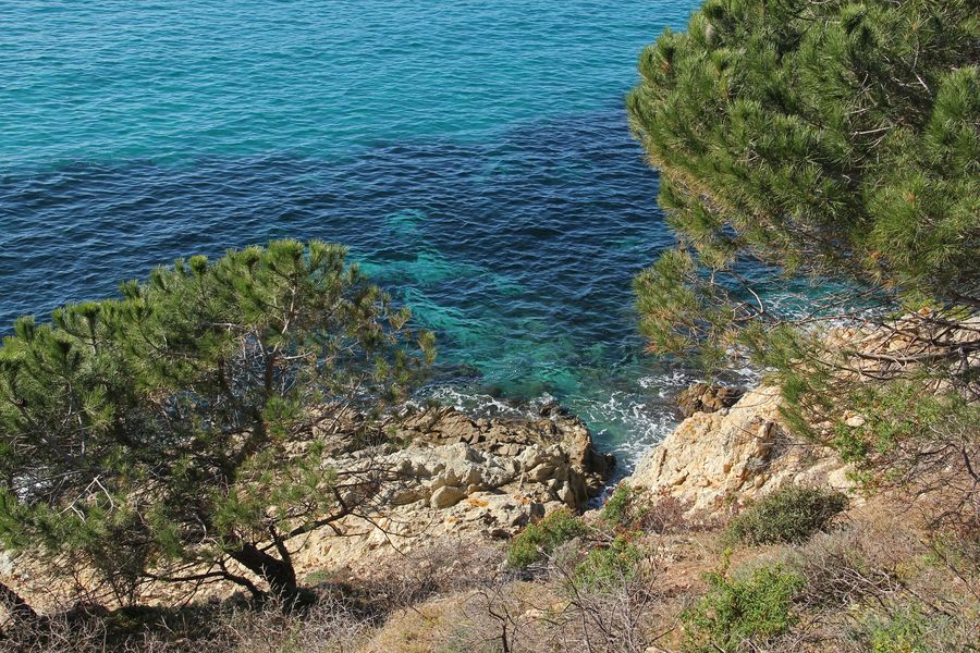Vue plongeante depuis le sentier du littoral