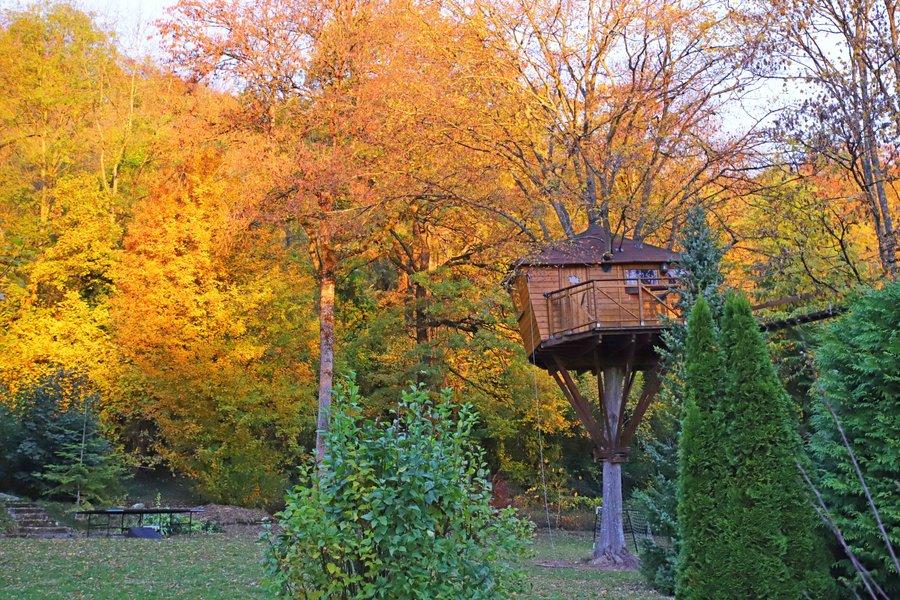 Cabane de charme - Chamigny