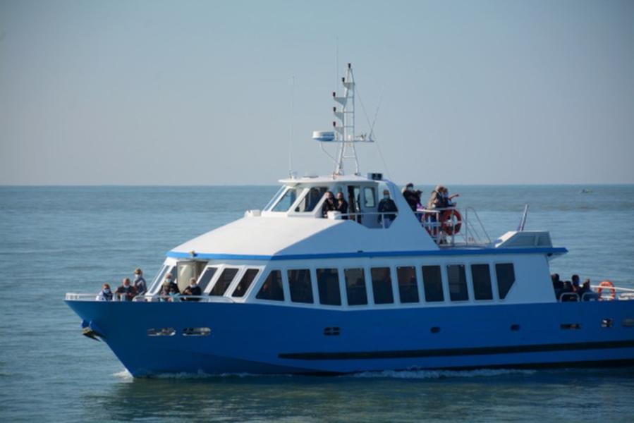 Cap Cordouan