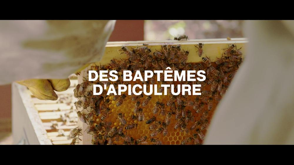 Des activités ludiques !