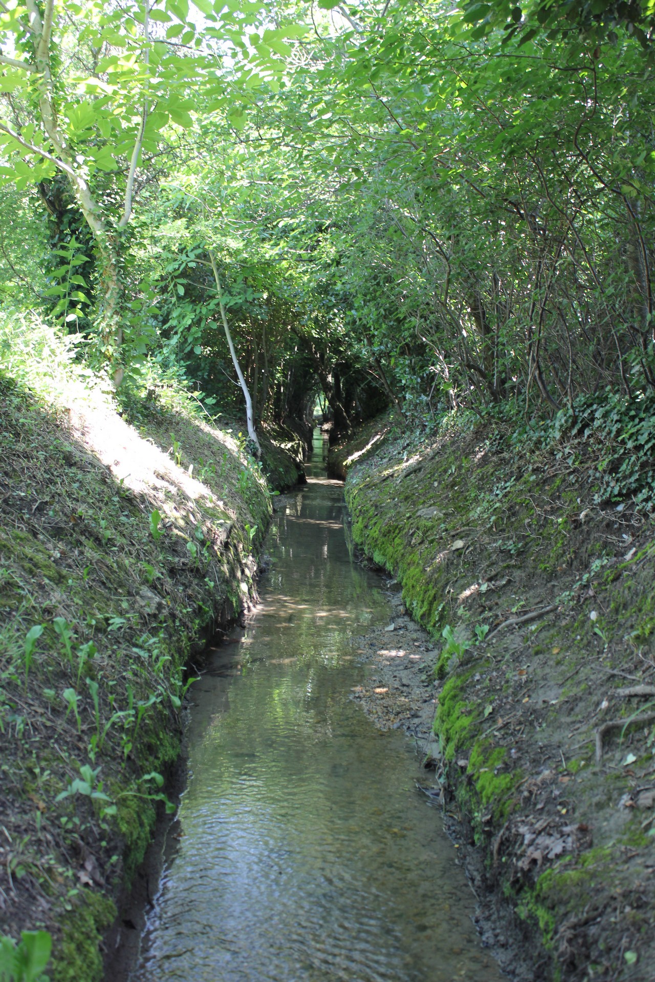 Les Sentiers de l'Abondance - photo 4