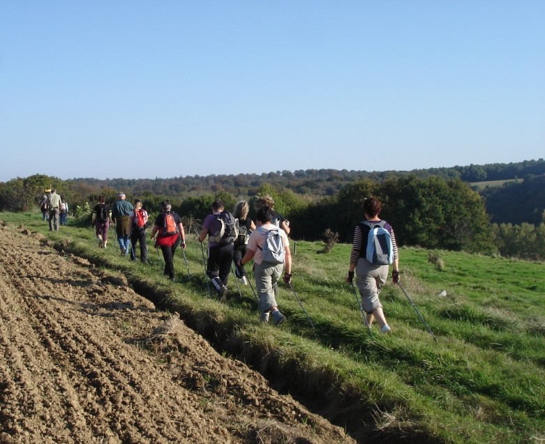 Nordic's walk with Terludik