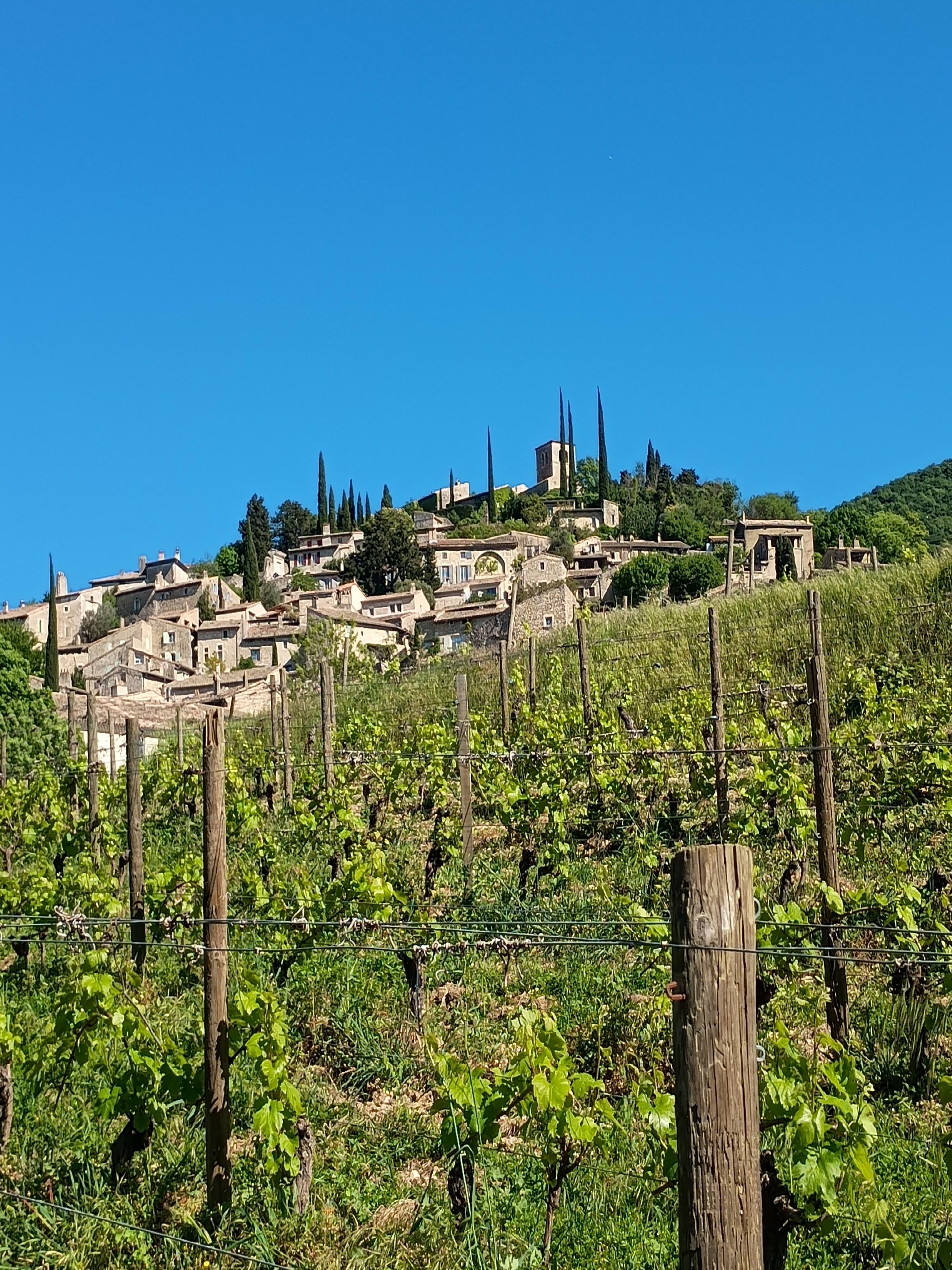 Domaine Besson - La Drôme Tourisme