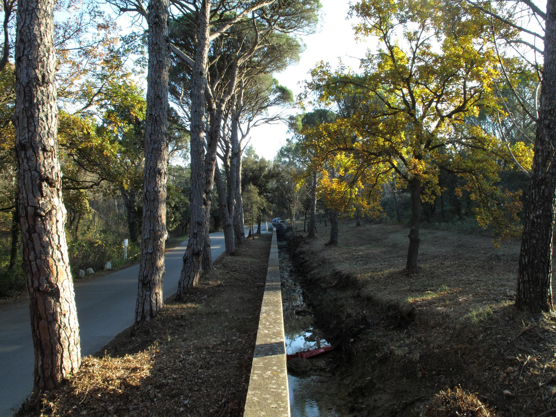 Parc Départemental de l'Arbois
