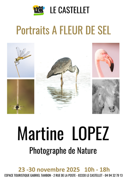 Photographe de Nature - Martine LOPEZ_Le Castellet