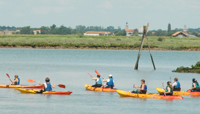 Les Détours sur l'eau : Dans l'intimité des marais - Kayak & Nature en Seudre