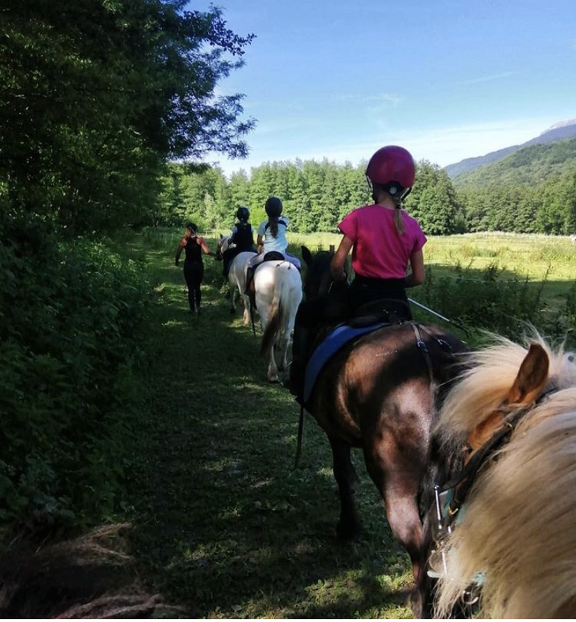 Poneys dans le parc du Domaine de Vizille