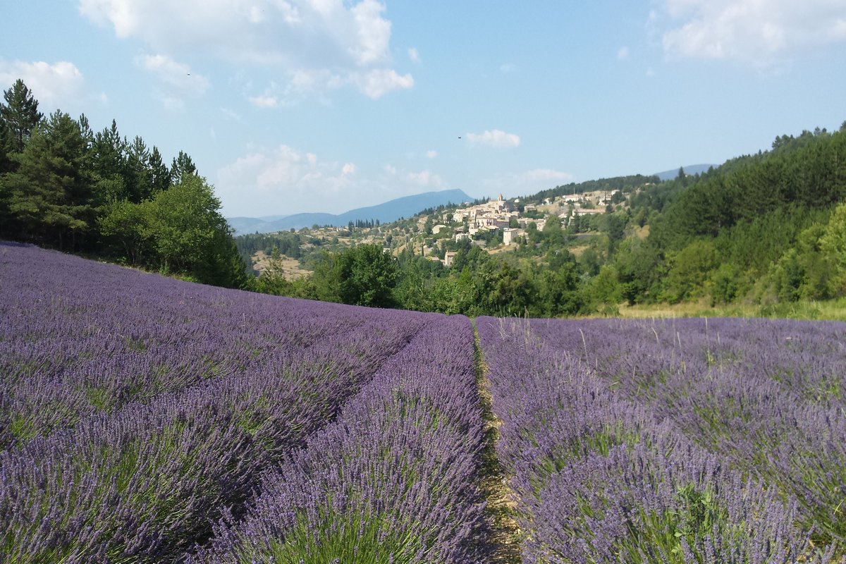 Time 4 Provence