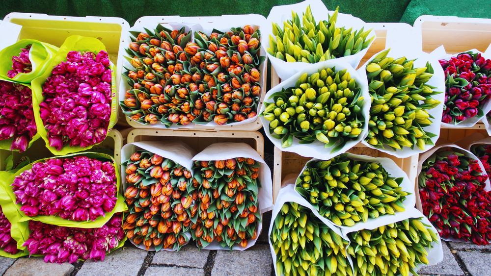 http://Marché%20aux%20fleurs