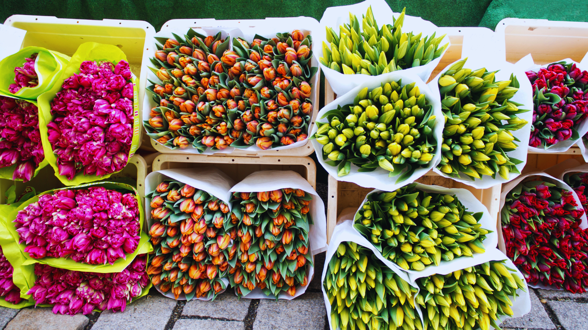 Marché aux fleurs_Mijoux