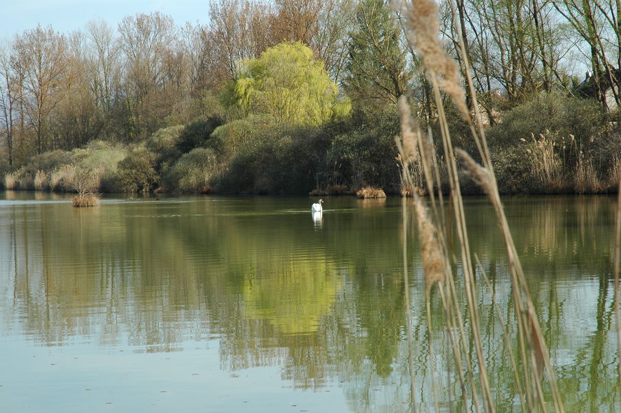 Etangs de la Serre - BIT Morestel