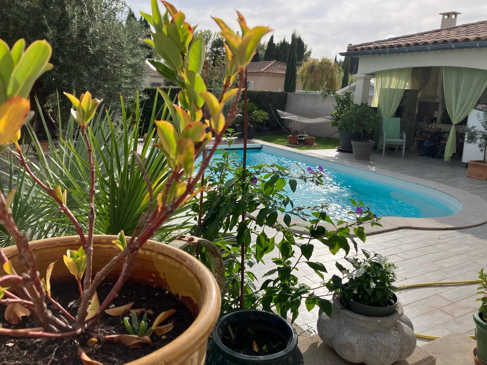 Une Amazone en Provence, Paradou - photo 8