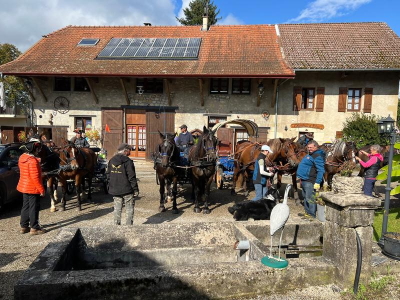 Tour du Lac d'Aiguebelette à cheval_Entre-deux-Guiers