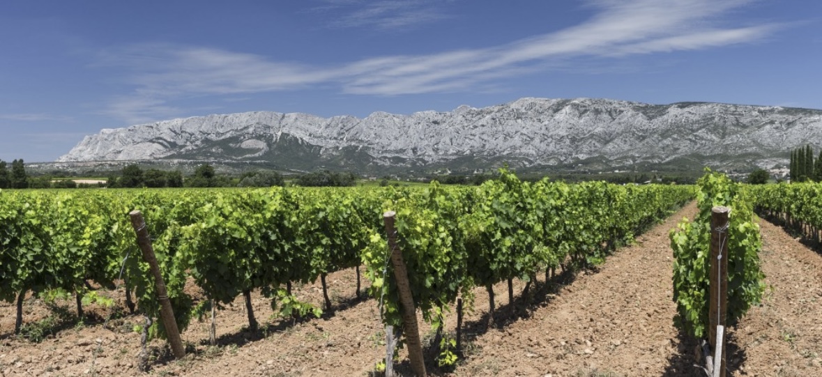 Domaine la Grande Bauquière - photo 3