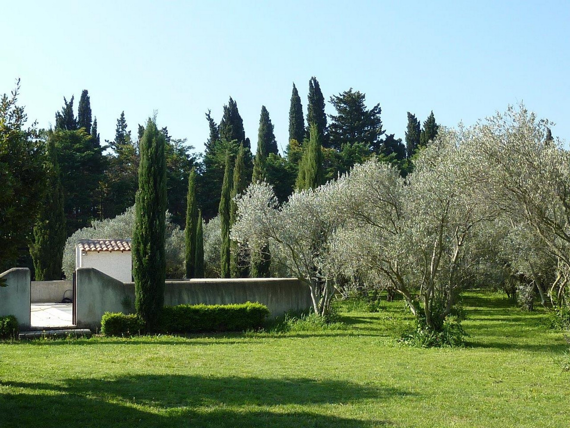 Les Oliviers, Saint-Rémy-de-Provence - photo 6