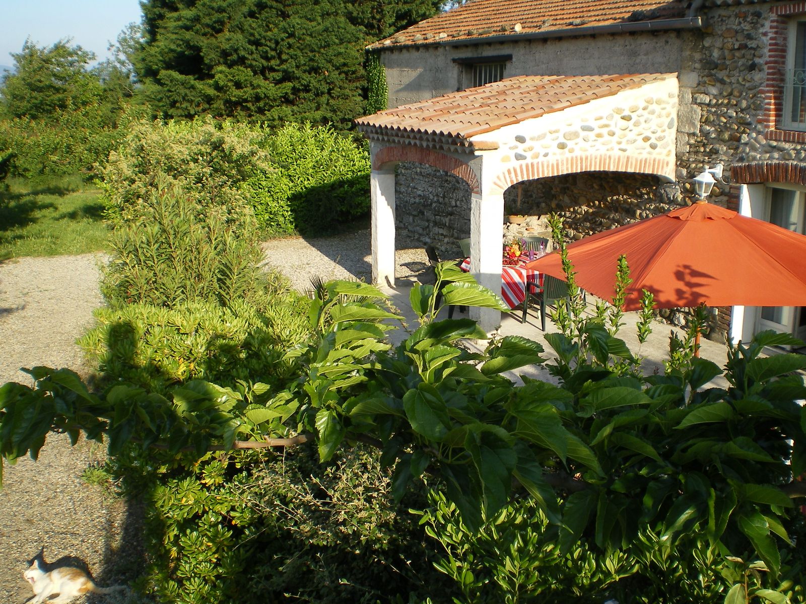 Vue du côté Abri de l'espace détente extérieur du gîte 6 personnes