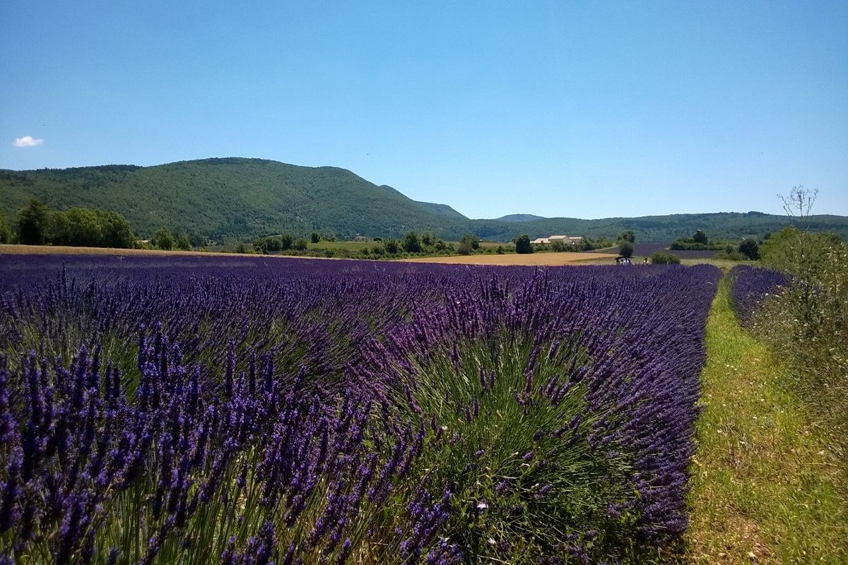 Provence Réservation