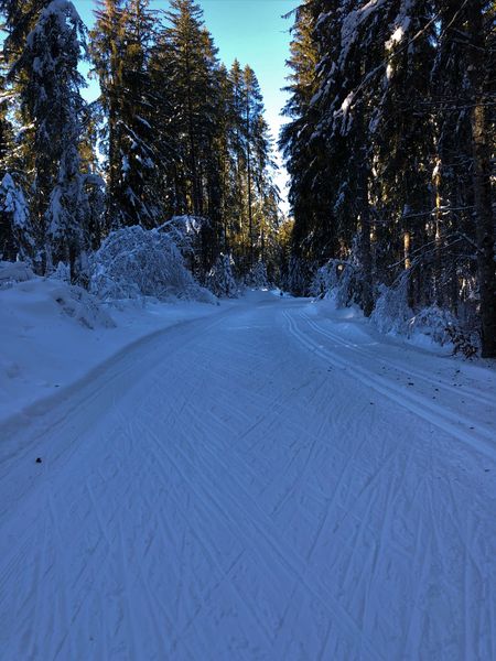 Piste de ski de fond de Lachat