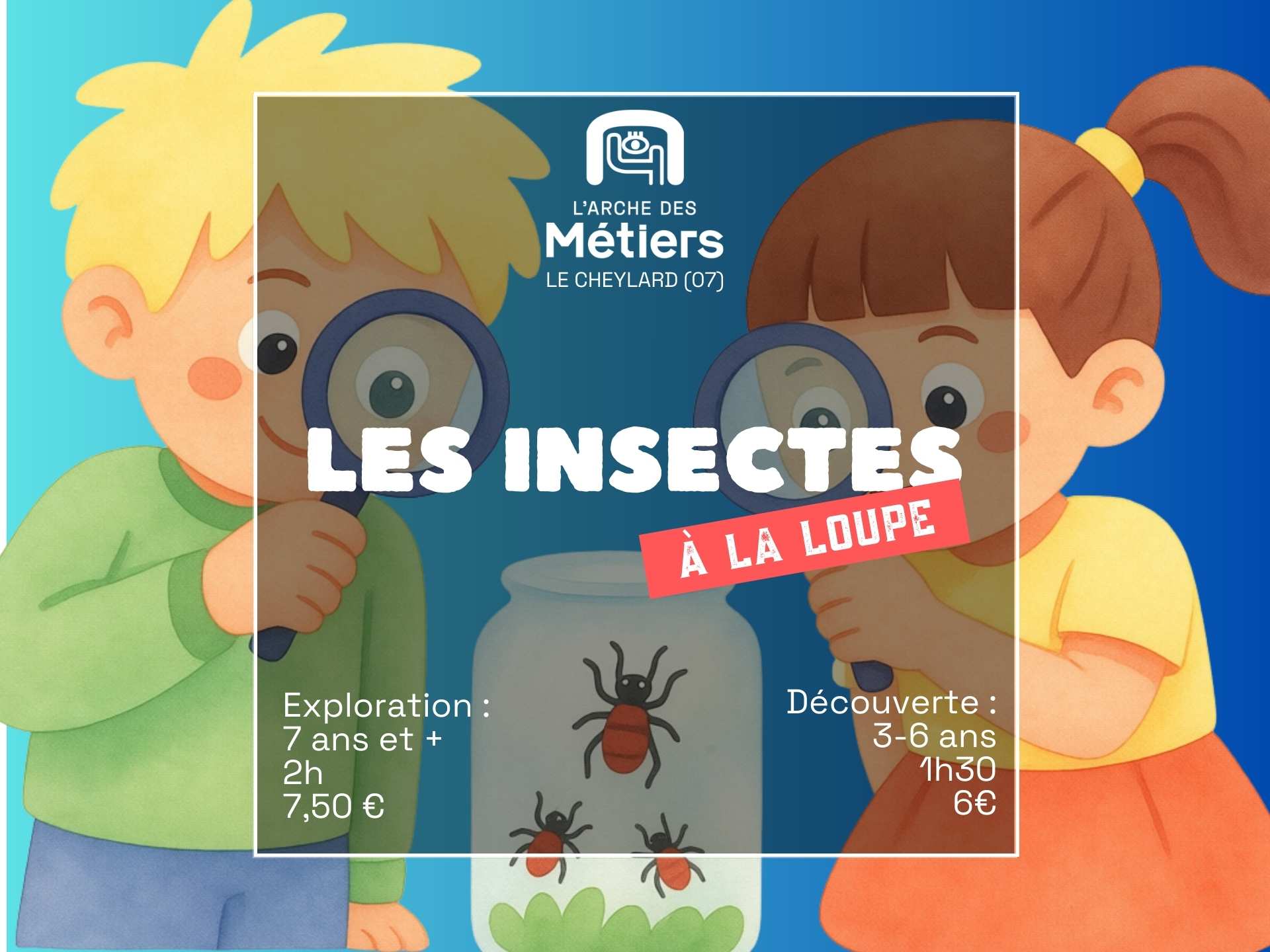 Les insectes à la loupe ! Exploration dès 7 ans