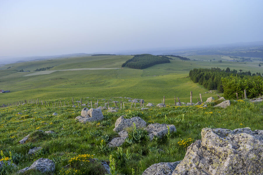 Cyclo. Les monts du Cézallier