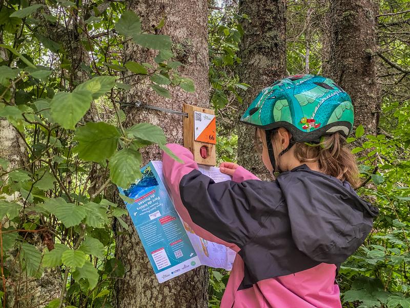 Parcours d'orientation du Pontet - Parcours ludique_Les Contamines-Montjoie