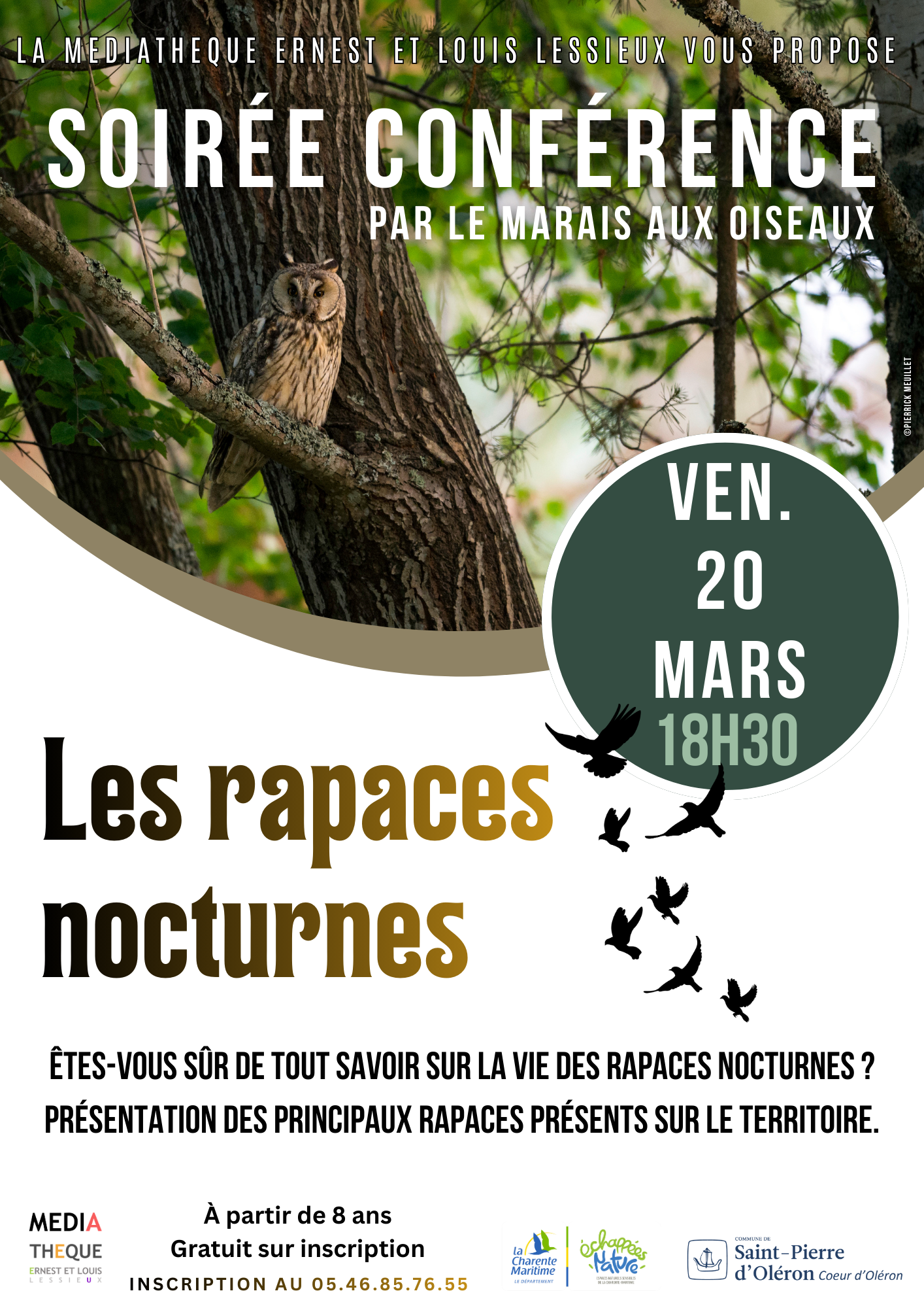 Soirée conférence "Les rapaces nocturnes"