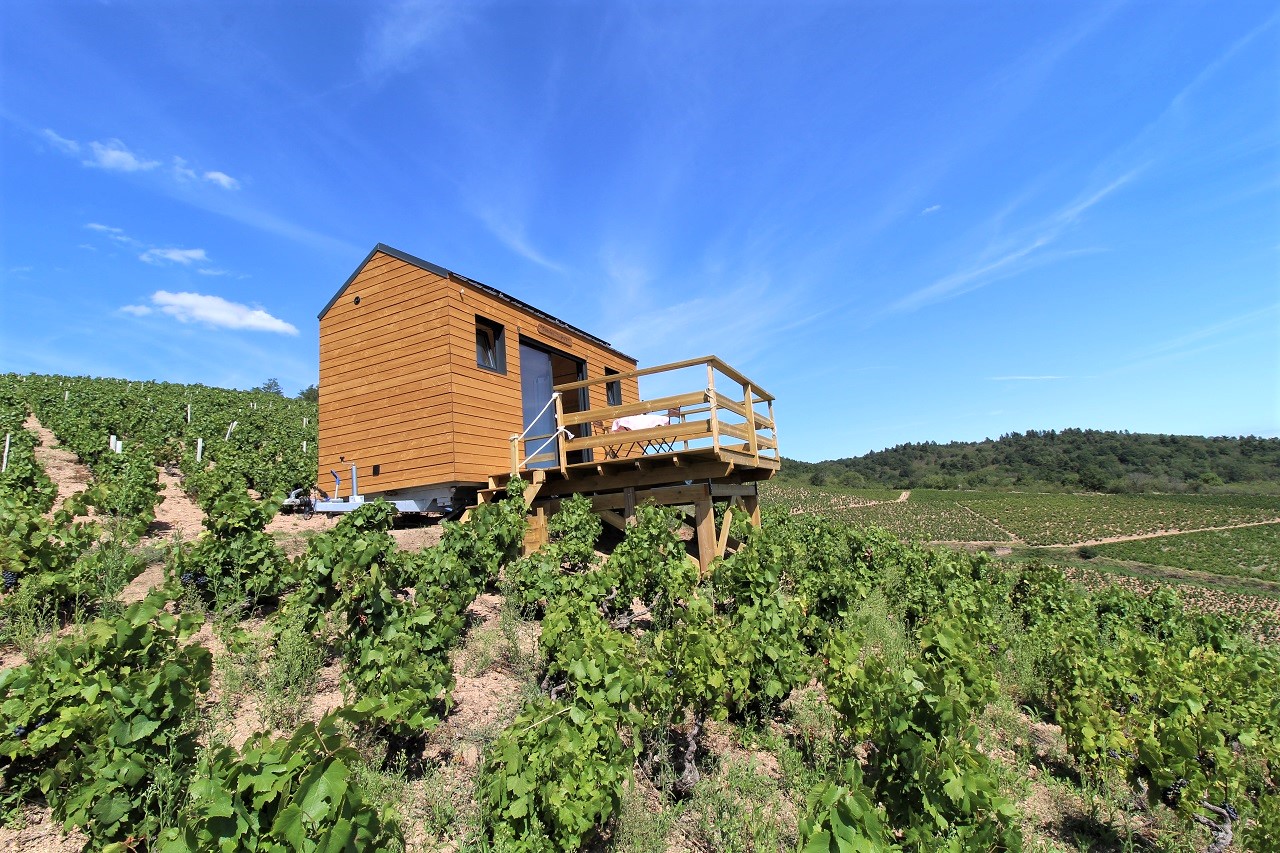 'La Cadole du Vigneron' à Fleurie (Rhône - Beaujolais des crus - vignoble) : au coeur des vignes...