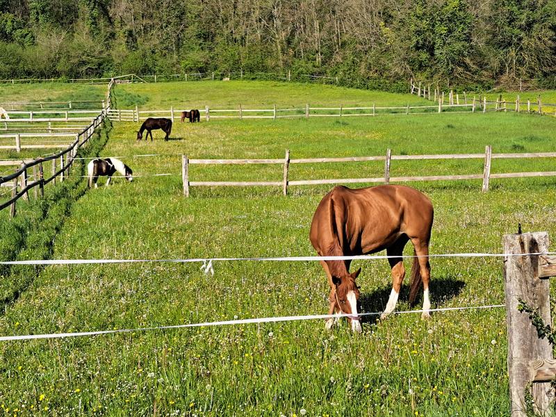 Centre d'équitation