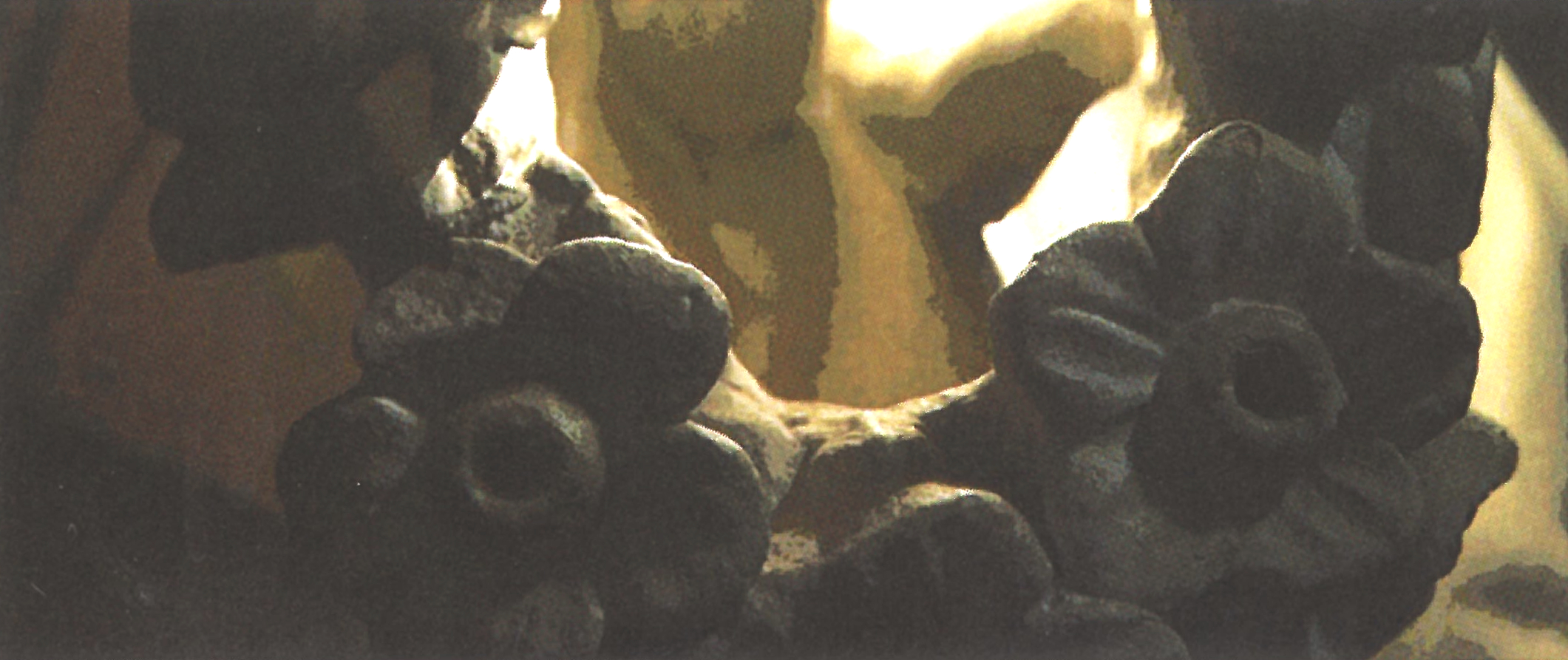 Résidence artistique d’Anne Garidou - Un regard photographique