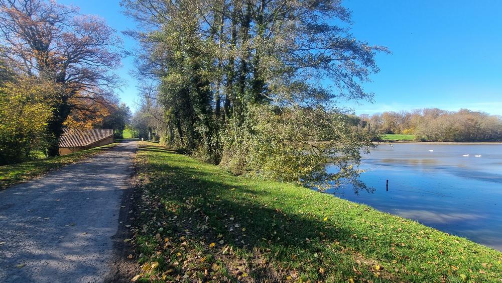 Liaison VTT-VTC (L7) St Trivier de Courtes - Dunes de Sermoyer_Saint-Trivier-de-Courtes