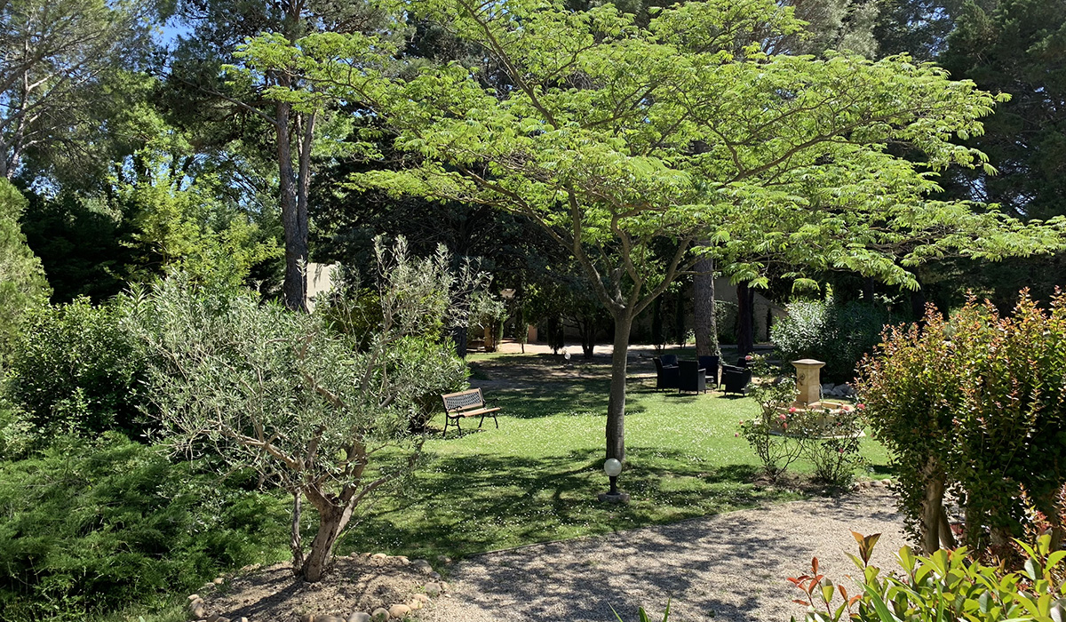 Domaine au coeur des Alpilles - Chambre la Grossane