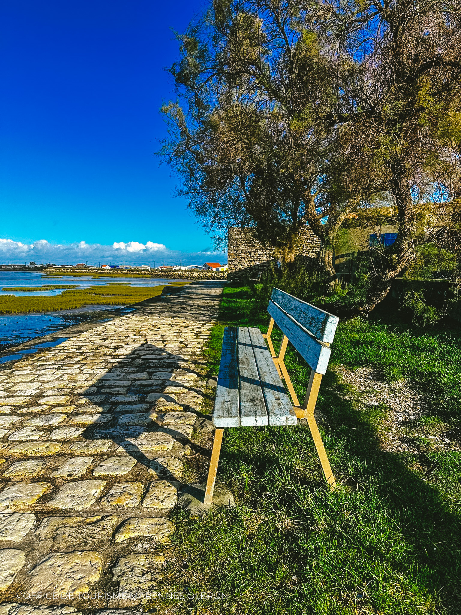Aire de pique nique - La plage du Vieux Chapus