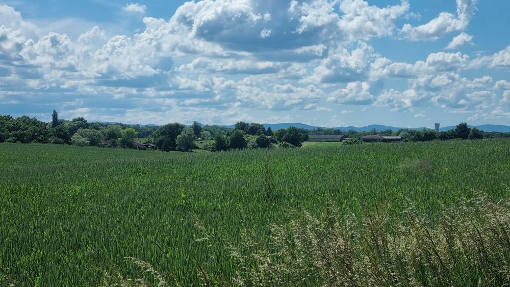 Circuit VTT-VTC n°26 (noir)_Tour de St Didier d'Aussiat
