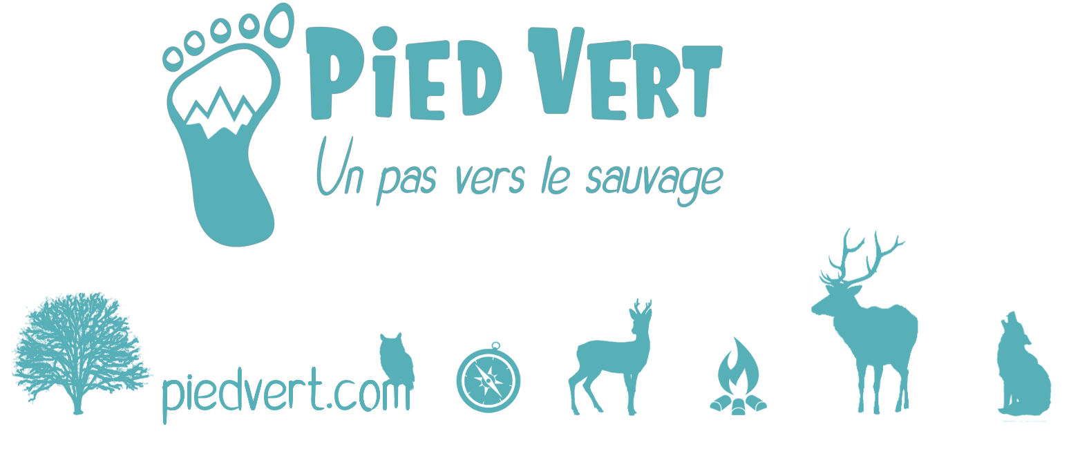 Pied Vert Mountain Guide