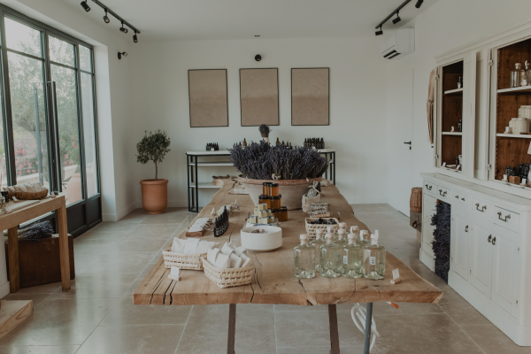 Visite d'un champ de Lavande Aix en Provence