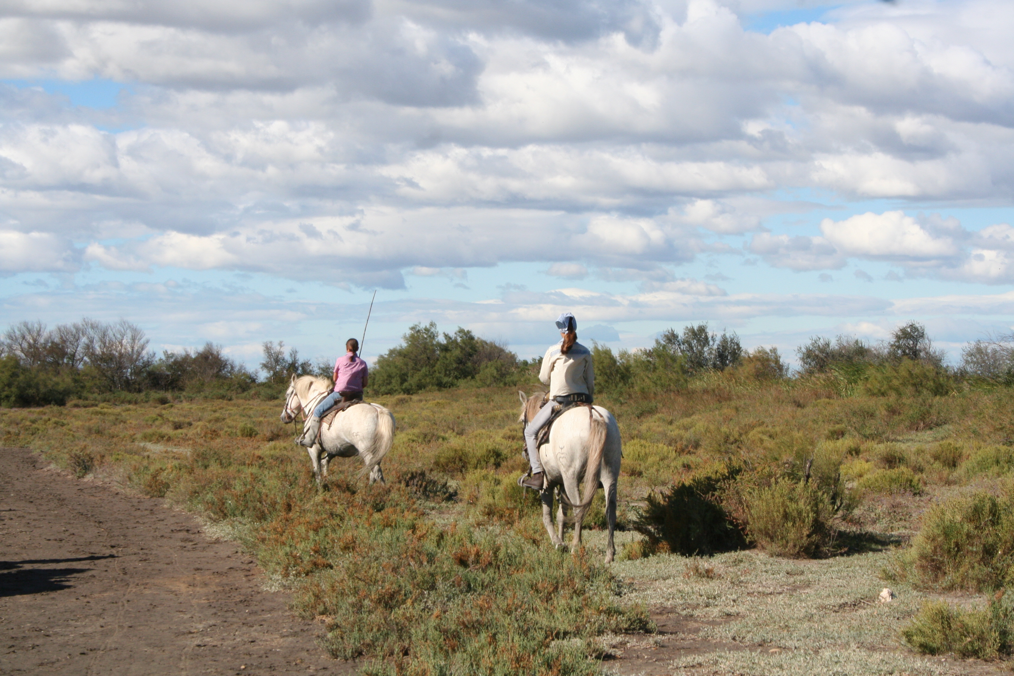journee-camarguaise-a-la-manade-mailhan