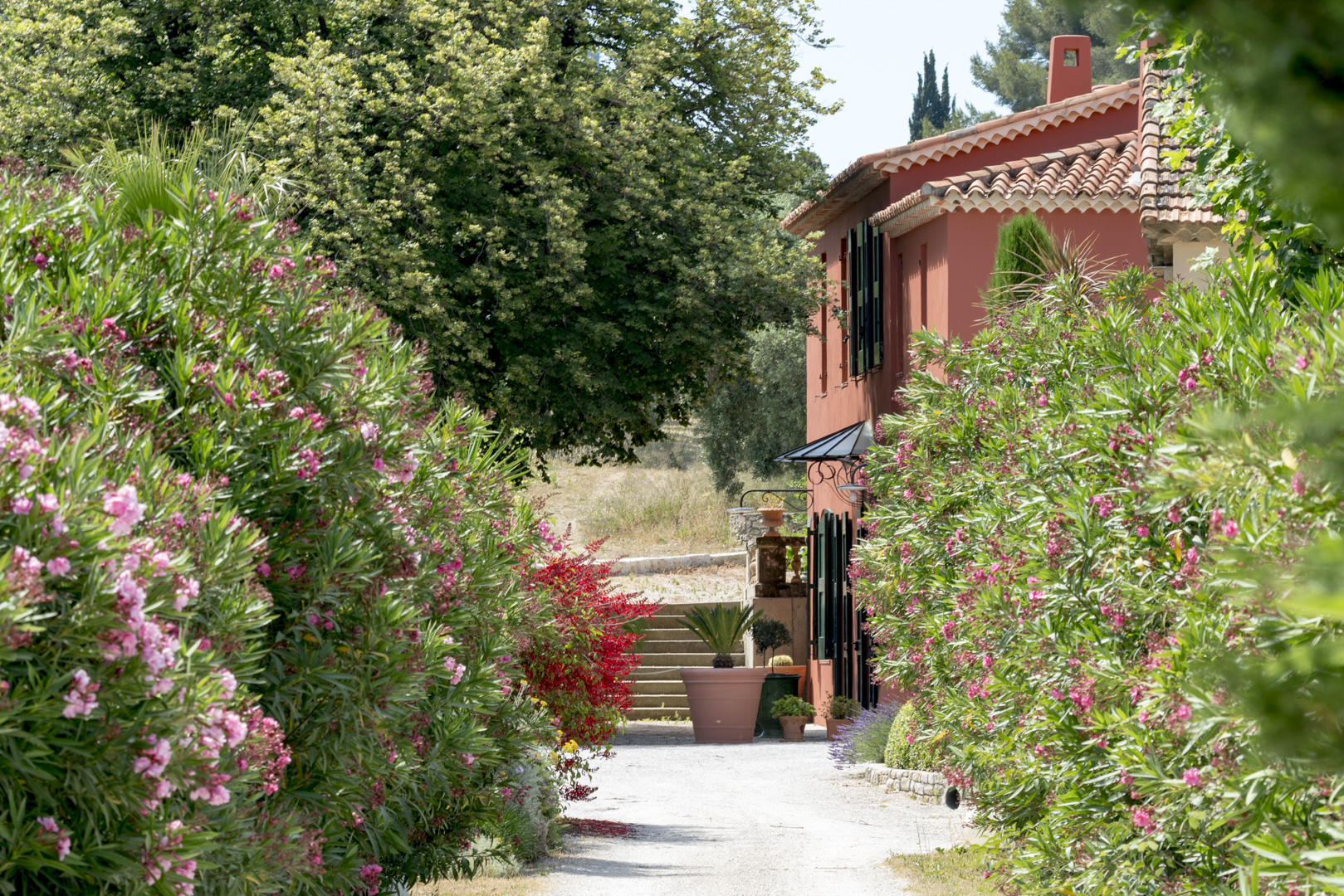 Domaine du Bagnol - photo 4