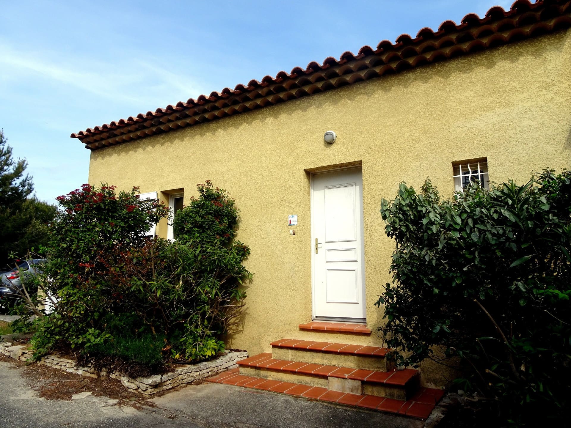 L'ile bleue 1 - photo 3