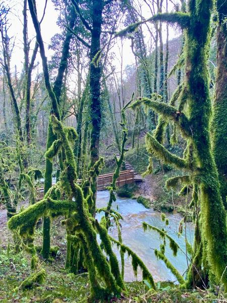 Reculée de Corveissiat