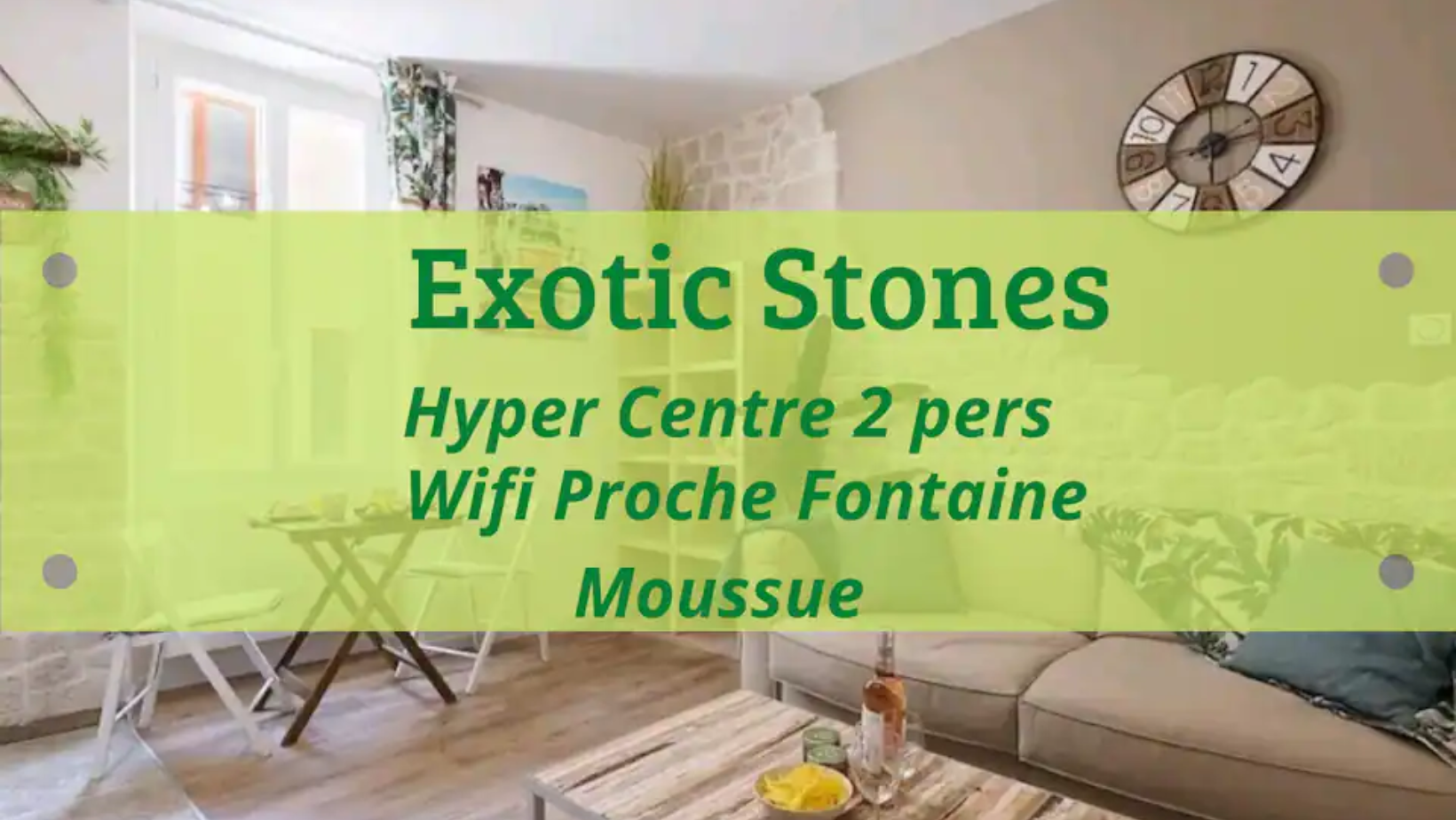 Exotic Stone Hyper Centre Fontaine Moussue⛲ — photo 3