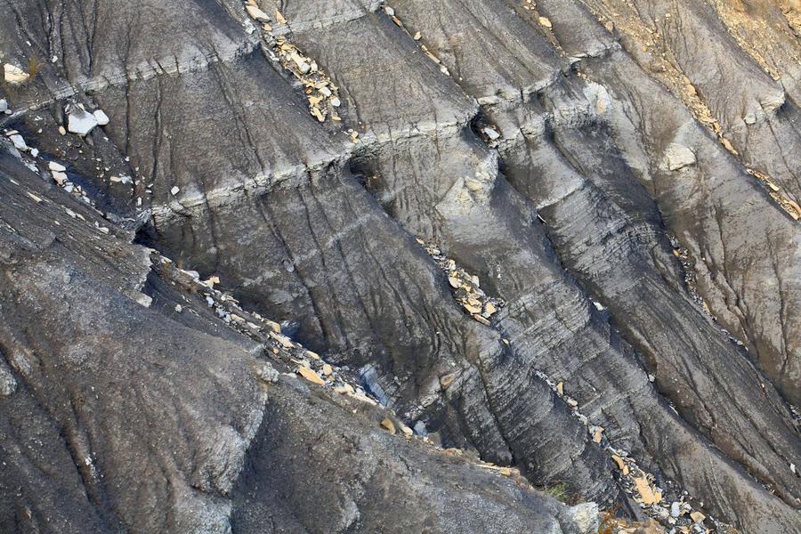 Atelier découverte de la géologie pour les enfants
