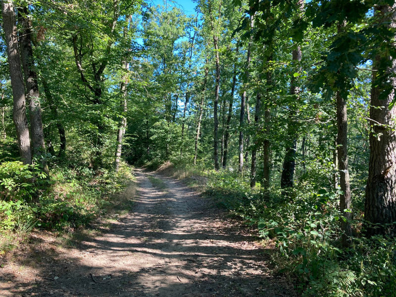 Sentier des pas vaillants_Saint-Médard-en-Forez