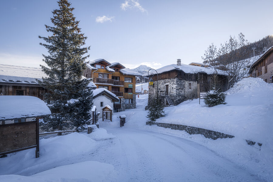 Rue piétonne de Montalbert