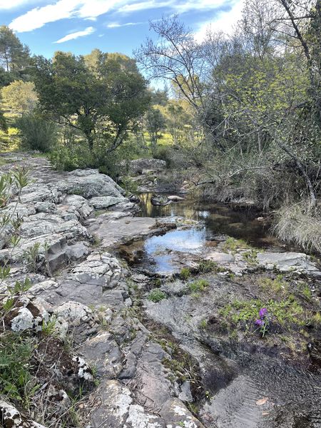 Les Balades du Blavet